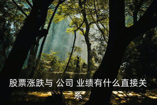 股票漲跌與 公司 業(yè)績有什么直接關系