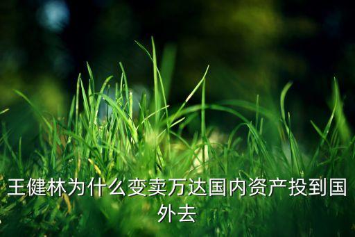 王健林為什么變賣萬達國內(nèi)資產(chǎn)投到國外去