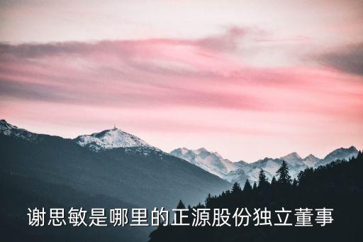 謝思敏是哪里的正源股份獨(dú)立董事