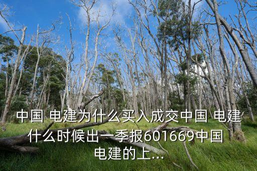 中國 電建為什么買入成交中國 電建什么時(shí)候出一季報(bào)601669中國 電建的上...