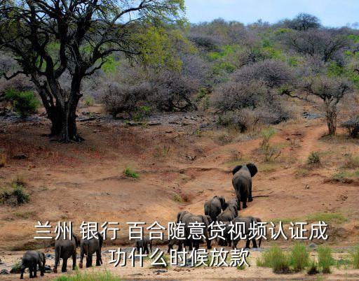  蘭州 銀行 百合隨意貸視頻認(rèn)證成功什么時候放款