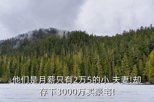 他們是月薪只有2萬(wàn)5的小 夫妻!卻存下3000萬(wàn)買(mǎi)豪宅!