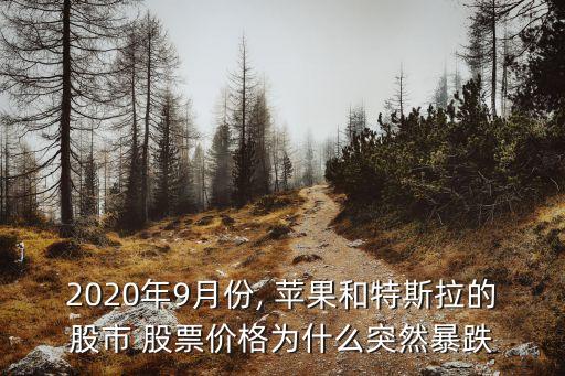 2020年9月份, 蘋果和特斯拉的股市 股票價格為什么突然暴跌