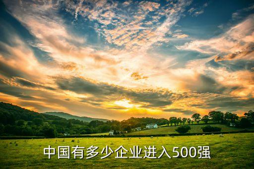 中國有多少企業(yè)進(jìn)入500強(qiáng)