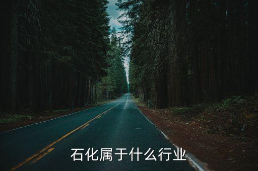 石化屬于什么行業(yè)