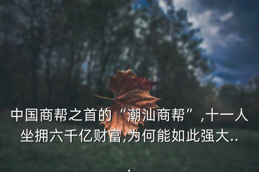 中國商幫之首的“潮汕商幫”,十一人坐擁六千億財(cái)富,為何能如此強(qiáng)大...