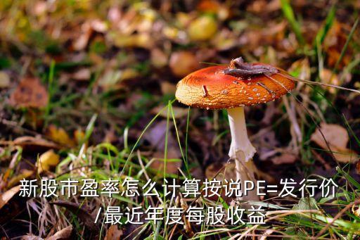 新股市盈率怎么計算按說PE=發(fā)行價/最近年度每股收益