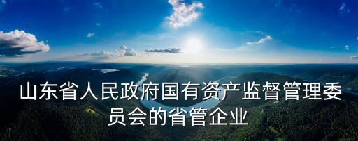  山東省人民政府國有資產(chǎn)監(jiān)督管理委員會的省管企業(yè)