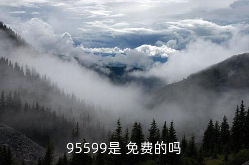 95599是 免費的嗎