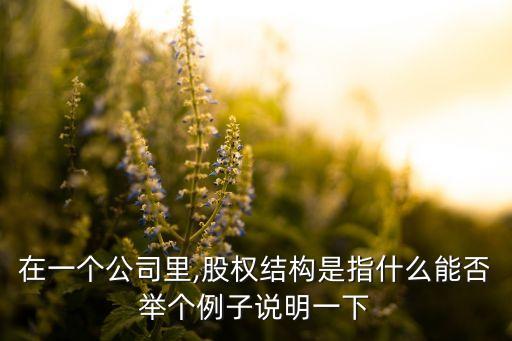 在一個(gè)公司里,股權(quán)結(jié)構(gòu)是指什么能否舉個(gè)例子說(shuō)明一下