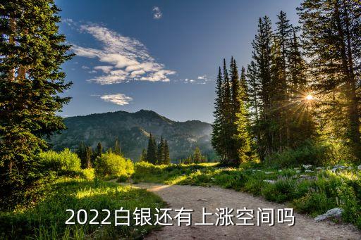 2022白銀還有上漲空間嗎