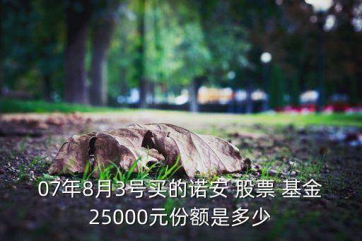 07年8月3號(hào)買的諾安 股票 基金25000元份額是多少