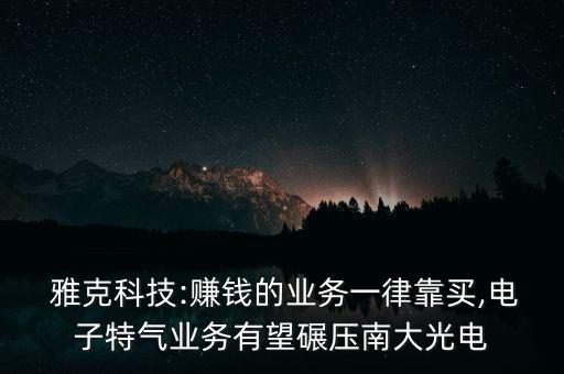  雅克科技:賺錢的業(yè)務(wù)一律靠買,電子特氣業(yè)務(wù)有望碾壓南大光電