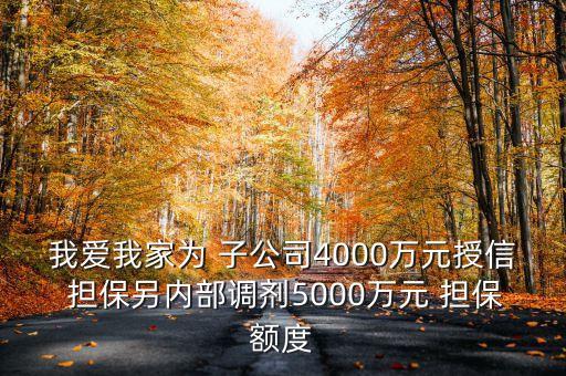 我愛(ài)我家為 子公司4000萬(wàn)元授信 擔(dān)保另內(nèi)部調(diào)劑5000萬(wàn)元 擔(dān)保額度