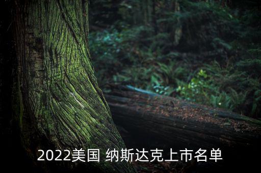 2022美國(guó) 納斯達(dá)克上市名單