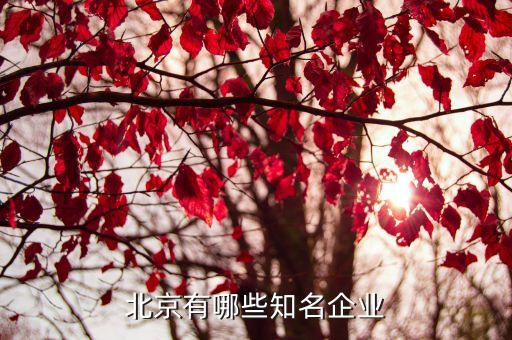 蘇州天鳥(niǎo)網(wǎng)絡(luò)技術(shù)有限公司