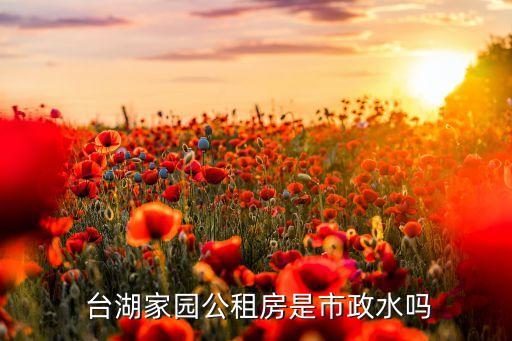  臺湖家園公租房是市政水嗎