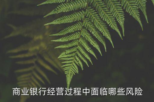  商業(yè)銀行經(jīng)營(yíng)過(guò)程中面臨哪些風(fēng)險(xiǎn)