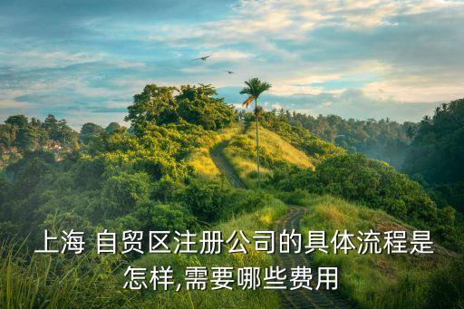  上海 自貿(mào)區(qū)注冊公司的具體流程是怎樣,需要哪些費(fèi)用