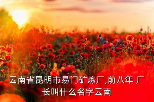 云南省昆明市易門(mén)礦煉廠,前八年 廠長(zhǎng)叫什么名字云南