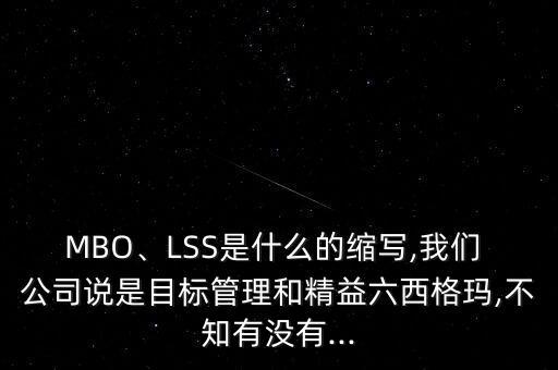 MBO、LSS是什么的縮寫,我們 公司說是目標(biāo)管理和精益六西格瑪,不知有沒有...