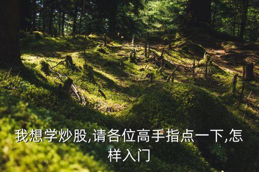 我想學(xué)炒股,請(qǐng)各位高手指點(diǎn)一下,怎樣入門