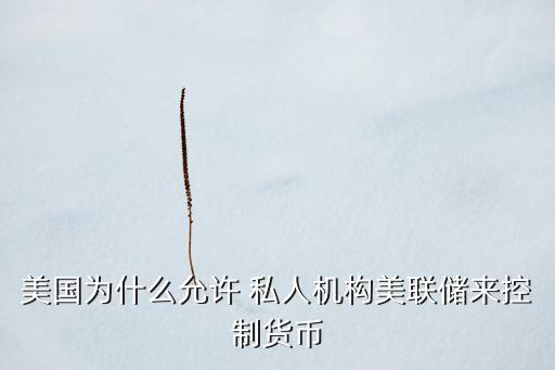 美國為什么允許 私人機(jī)構(gòu)美聯(lián)儲來控制貨幣