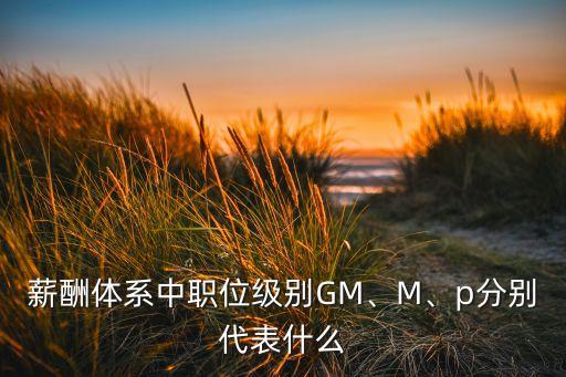 薪酬體系中職位級別GM、M、p分別代表什么