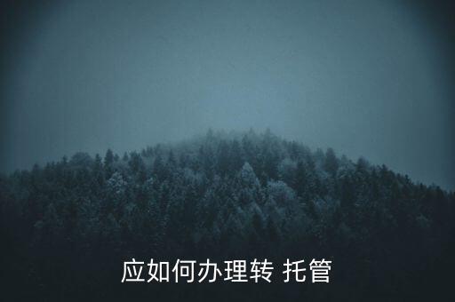 應(yīng)如何辦理轉(zhuǎn) 托管