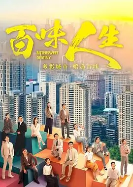 热播电视剧集